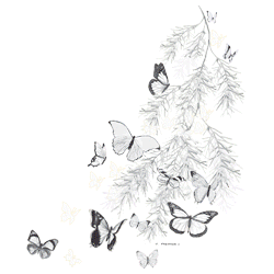 BUTTERFLY SHOULDER 16775SA2.gif